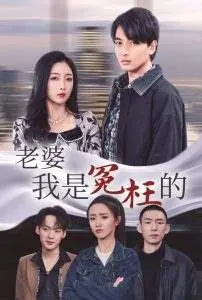 《老婆我是冤枉的》：爆笑乌龙婚姻保卫战，看冤大头老公如何实力洗冤！